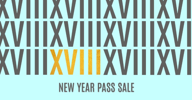 New Year Pass Sale